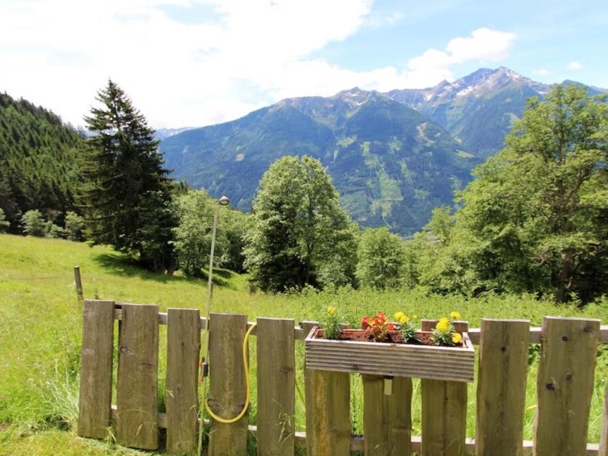 View Summer