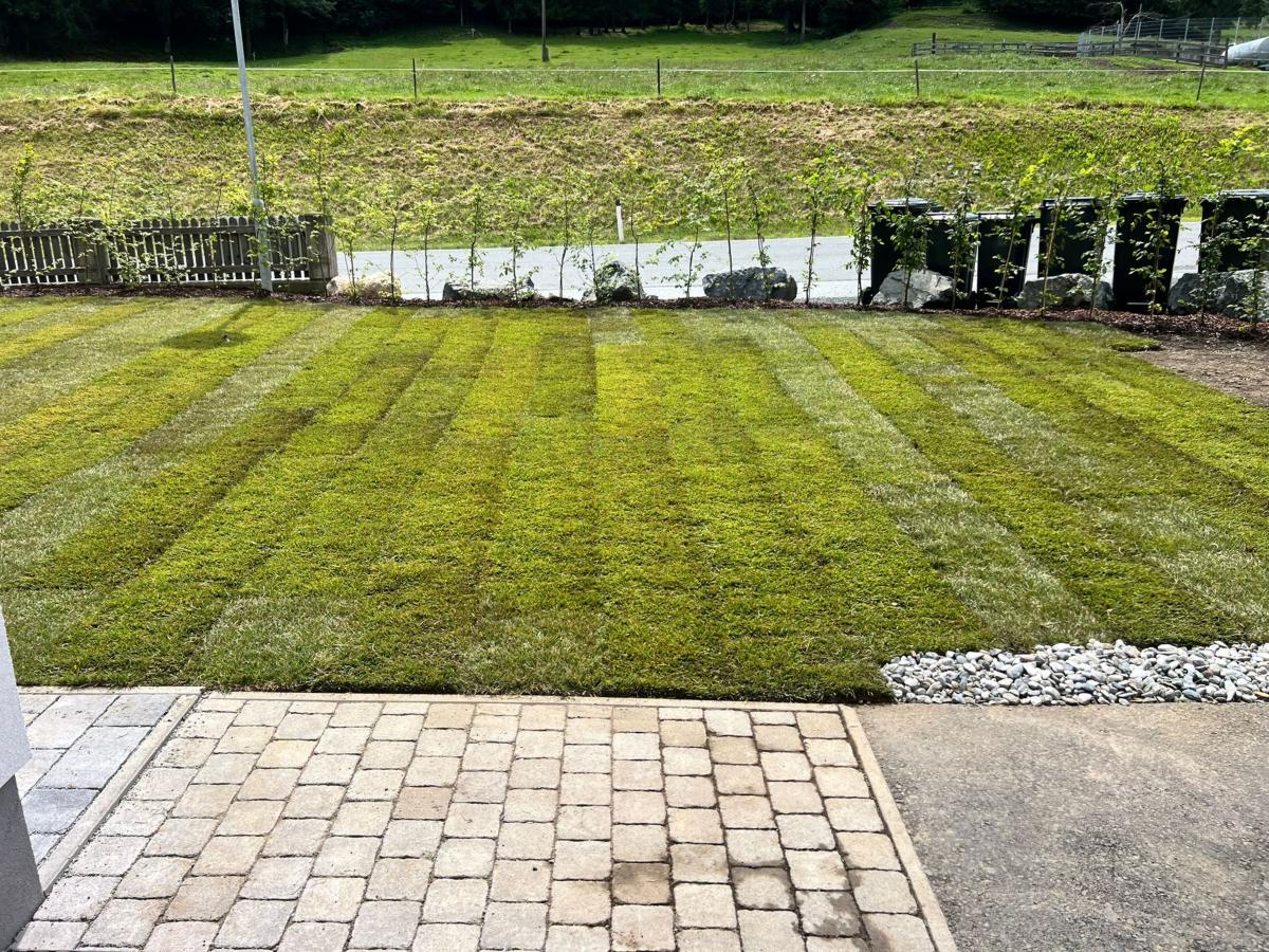 Garden Summer