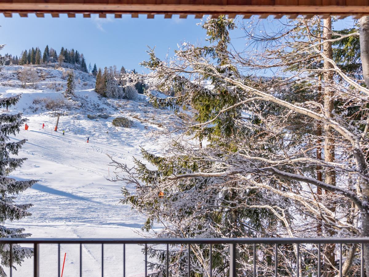 View Winter