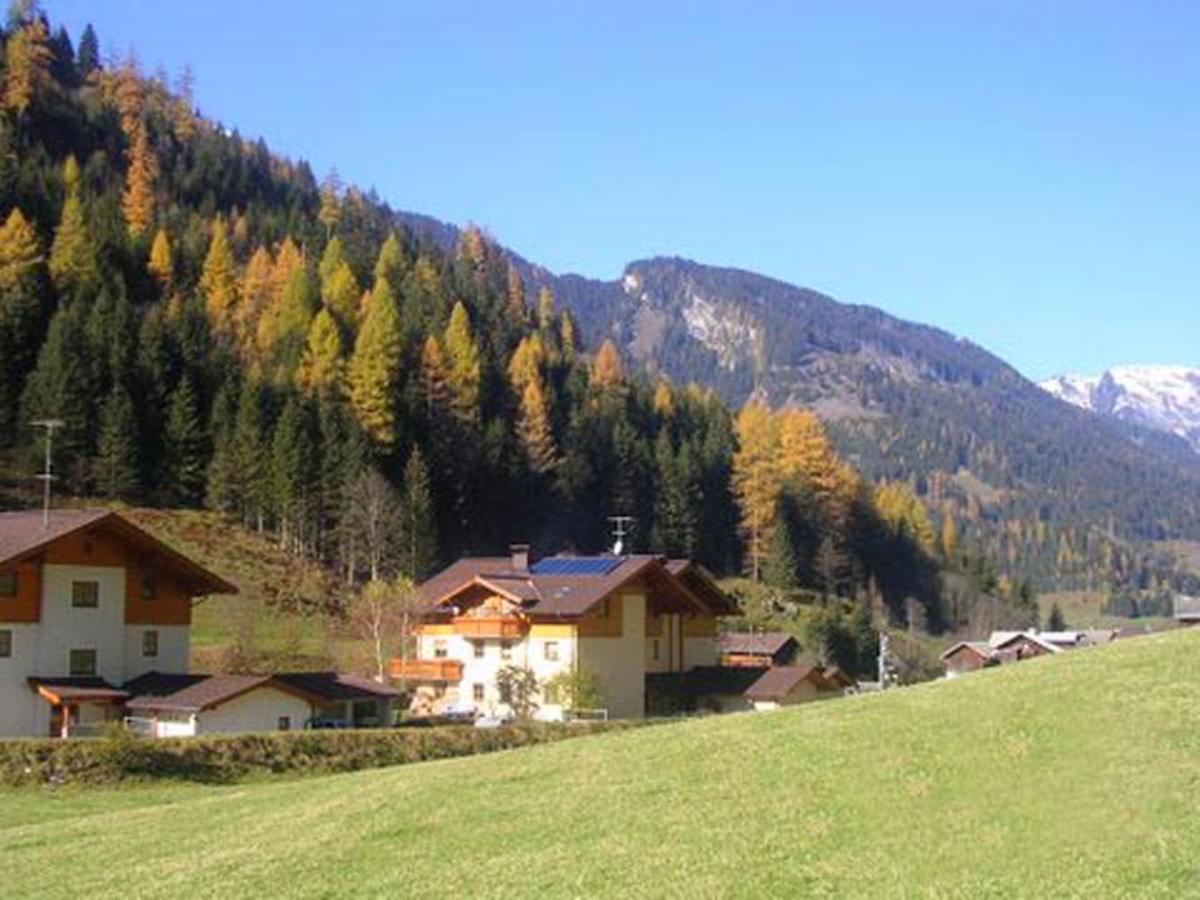 Exterior Summer