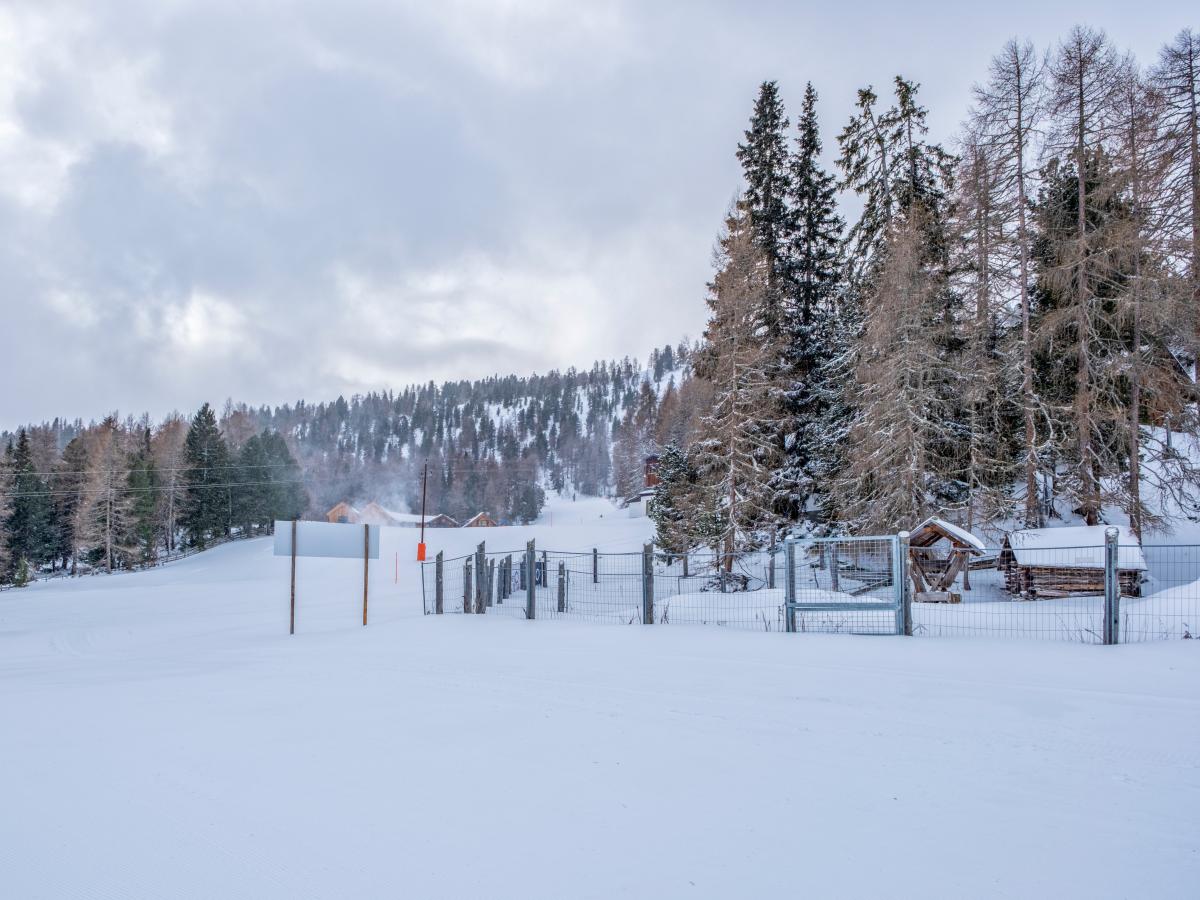 Garden Winter