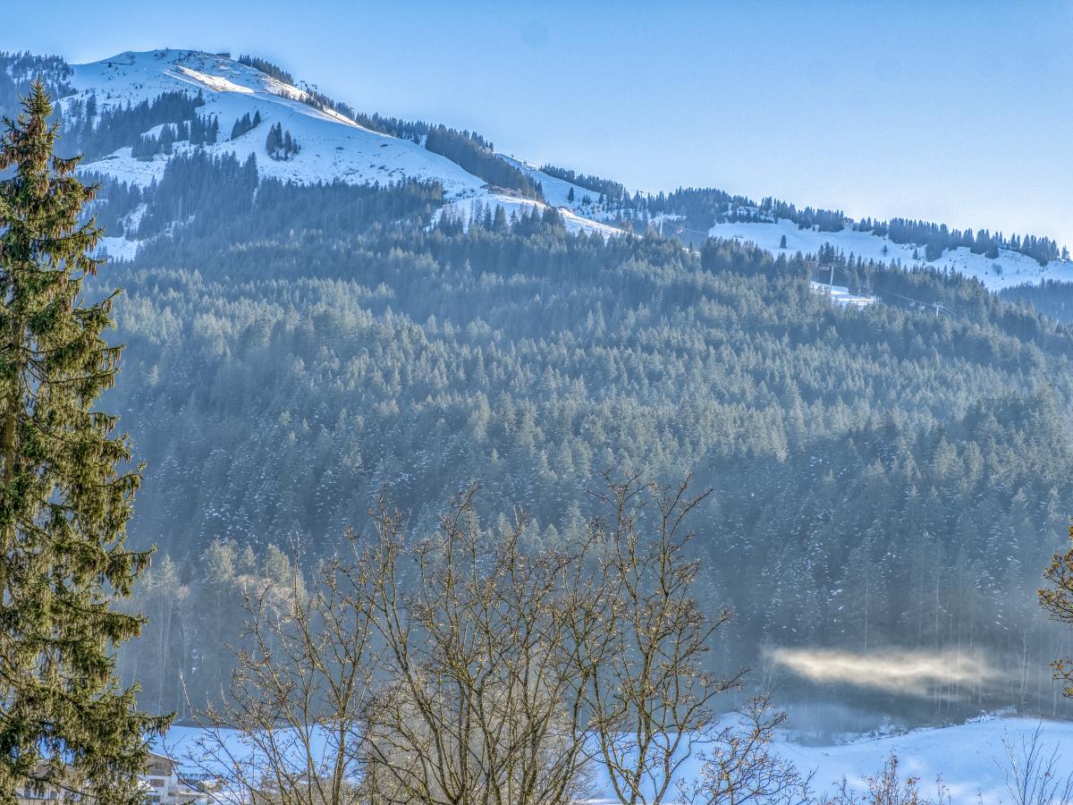 View Winter