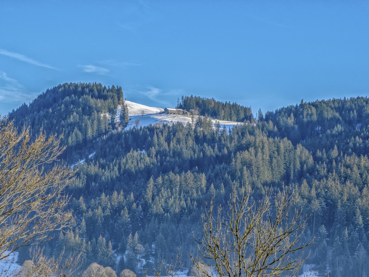 View Winter