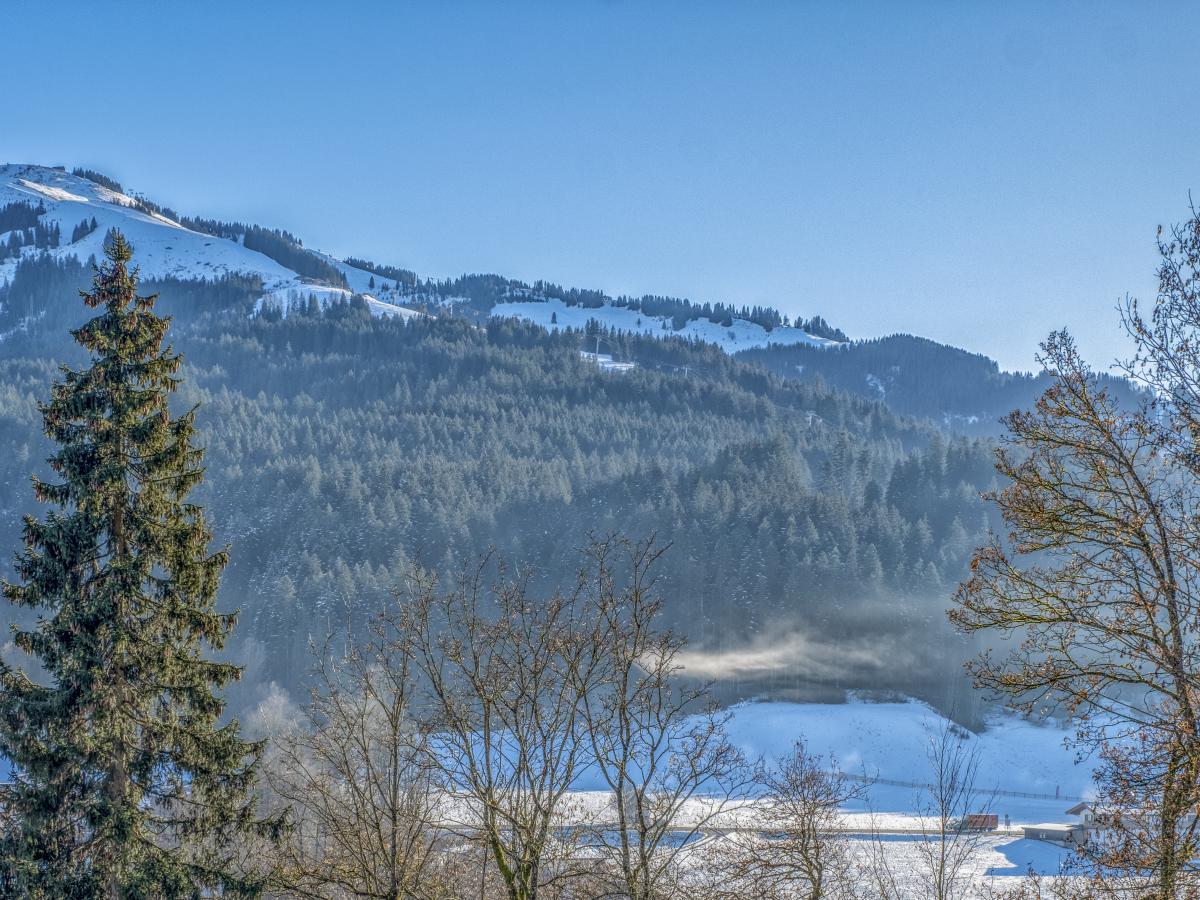 View Winter