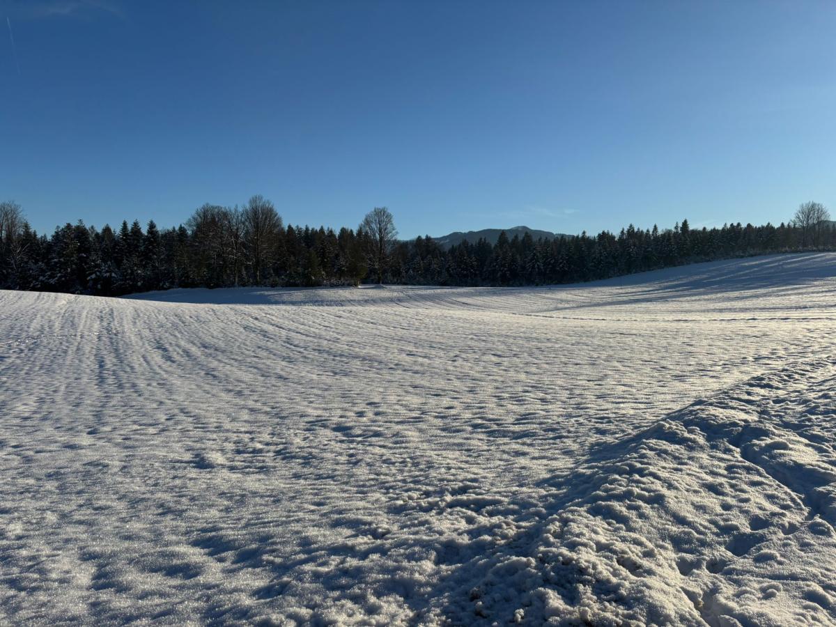 View Winter