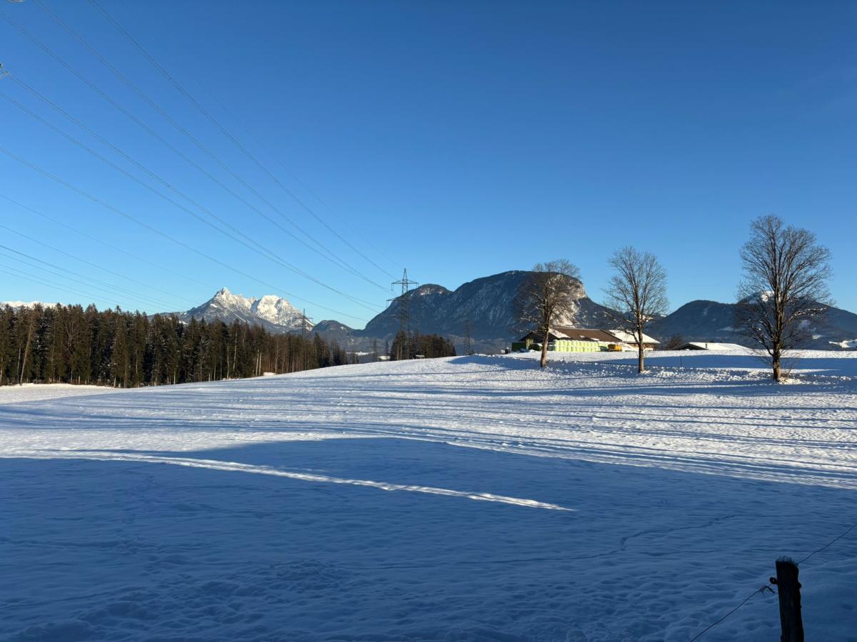 View Winter