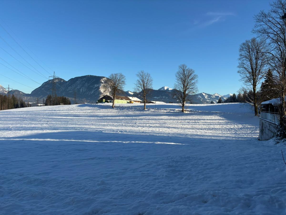 View Winter
