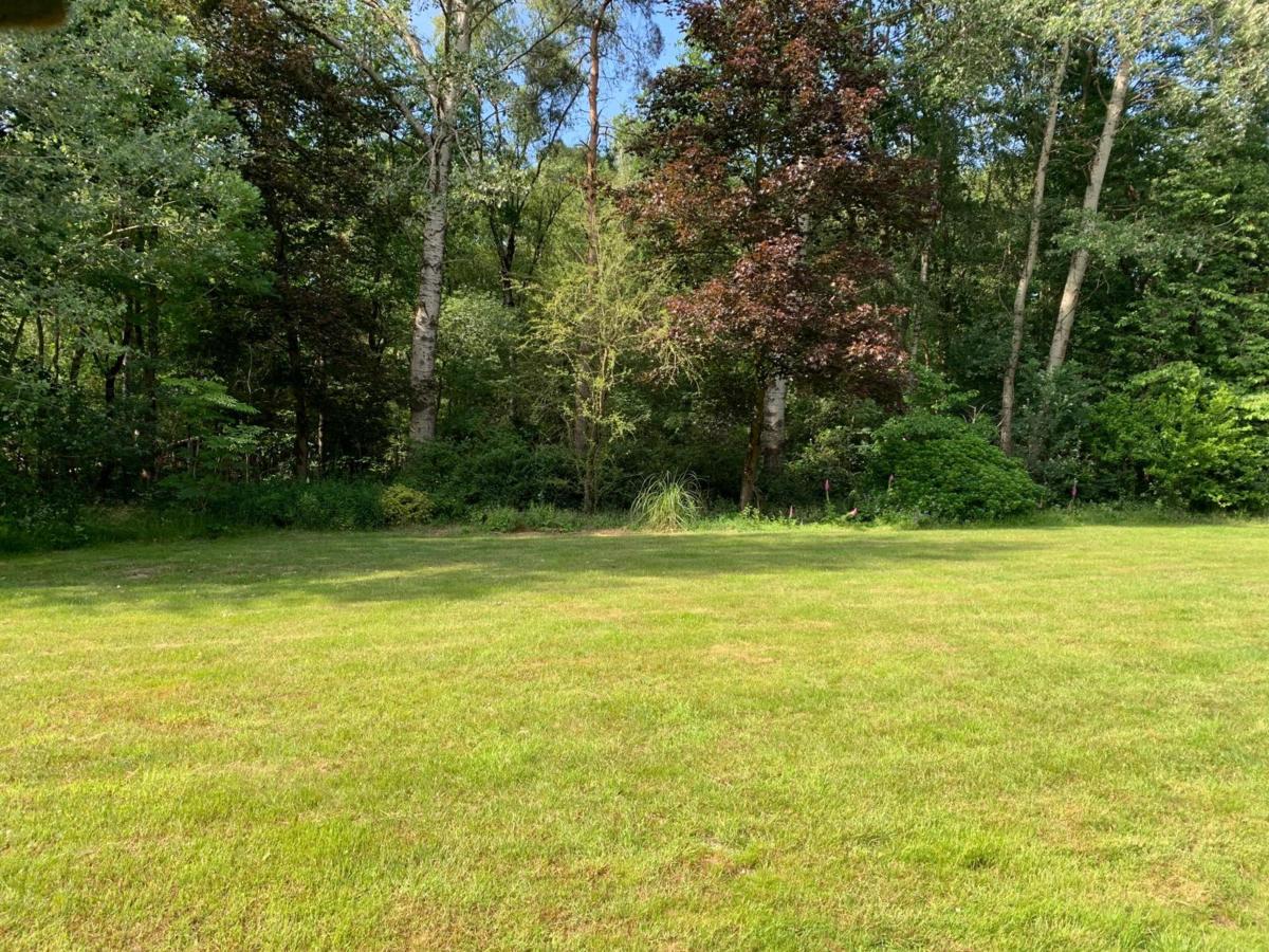 Garden Summer
