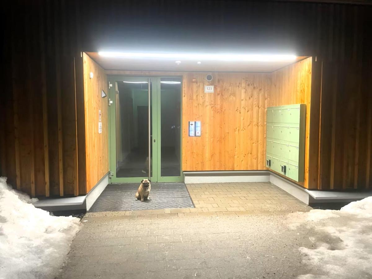 Exterior Winter