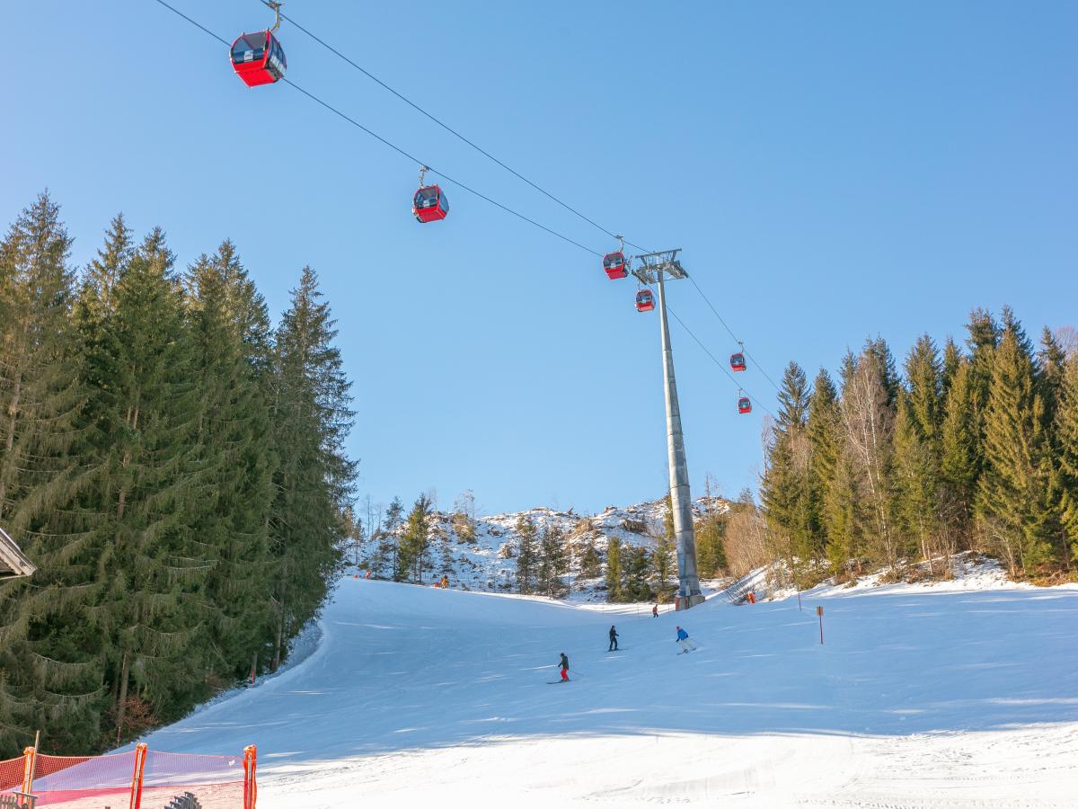 View Winter