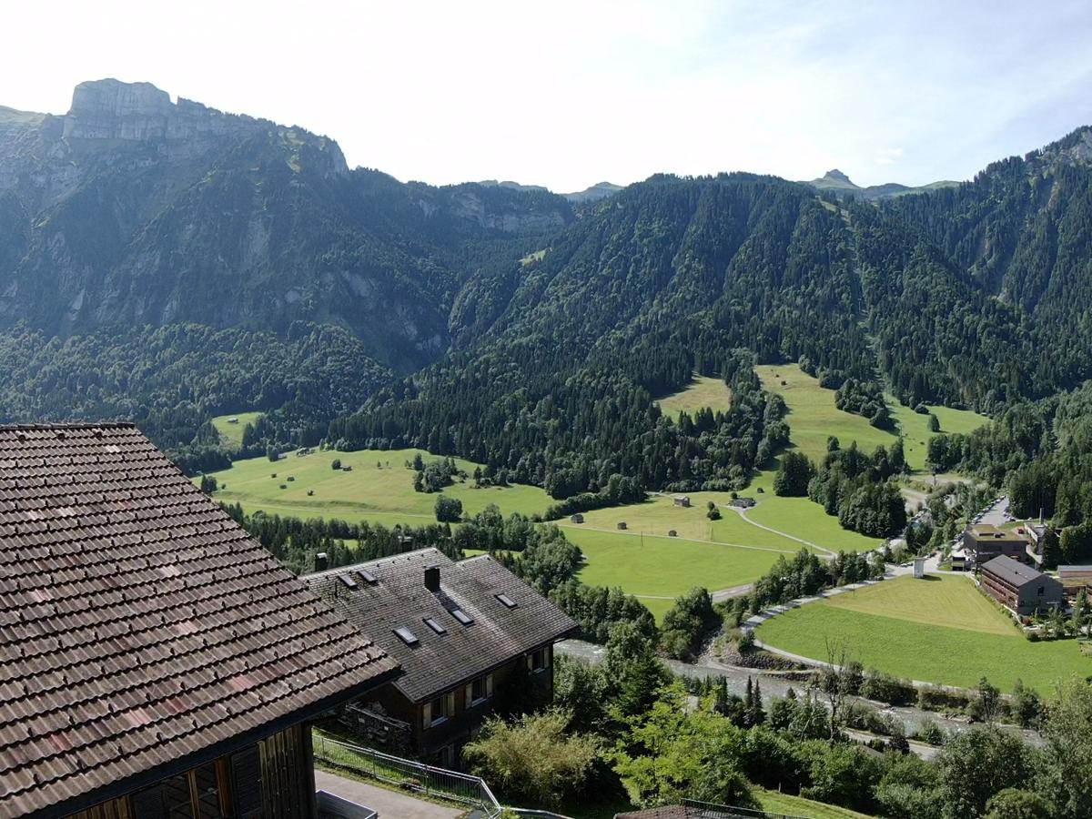 View Summer