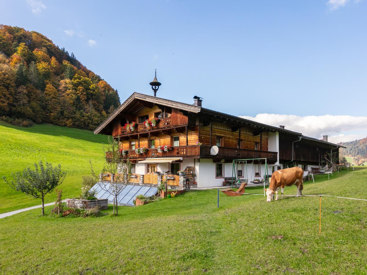 Villa photo 1