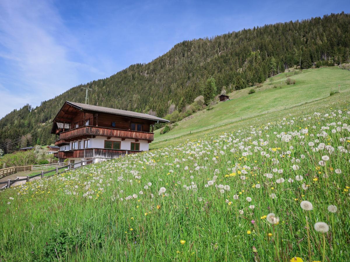 Exterior Summer