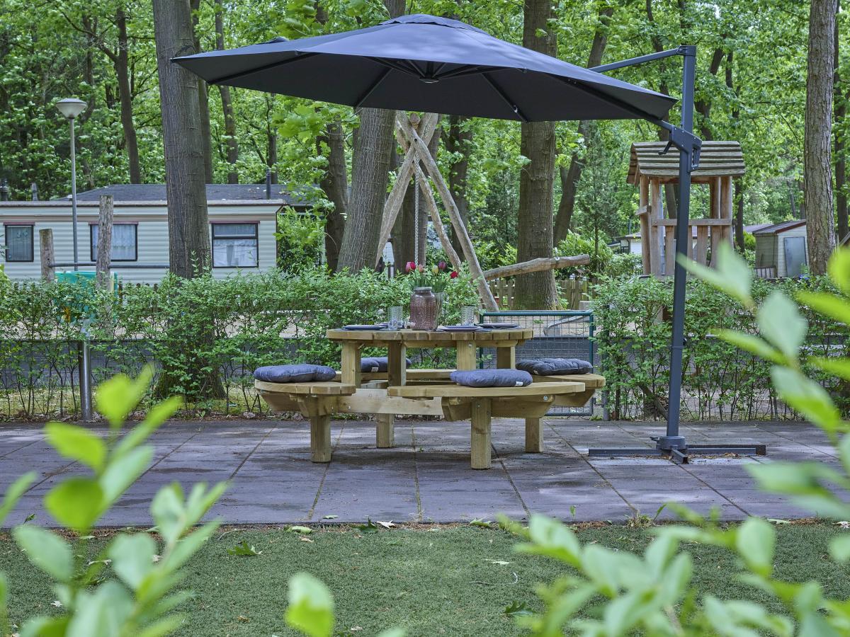 Garden Summer