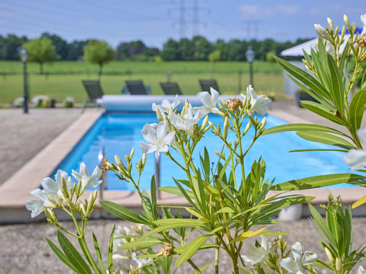 Villa photo 1