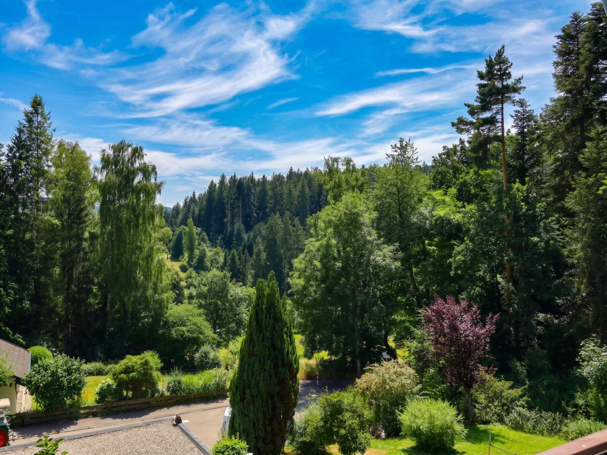 View Summer