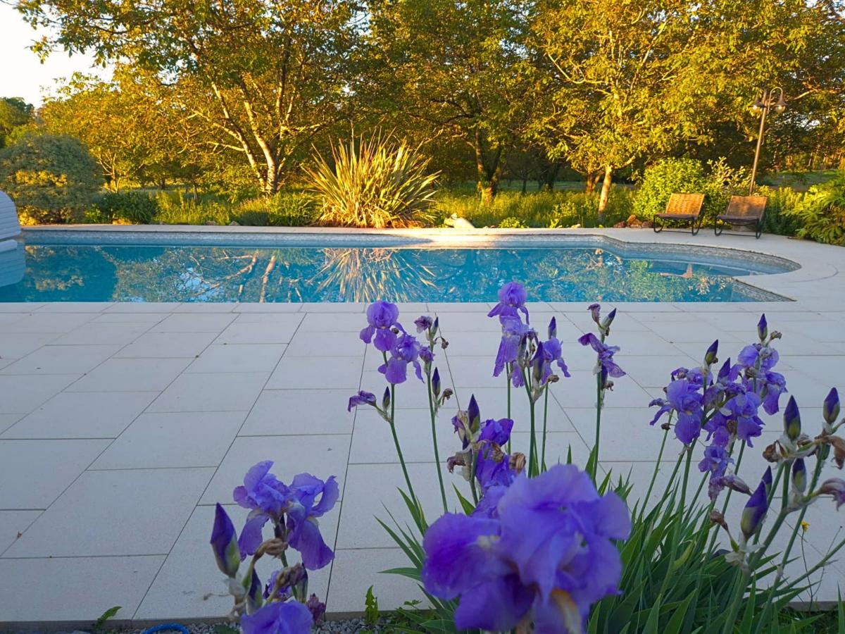 Pool Of House