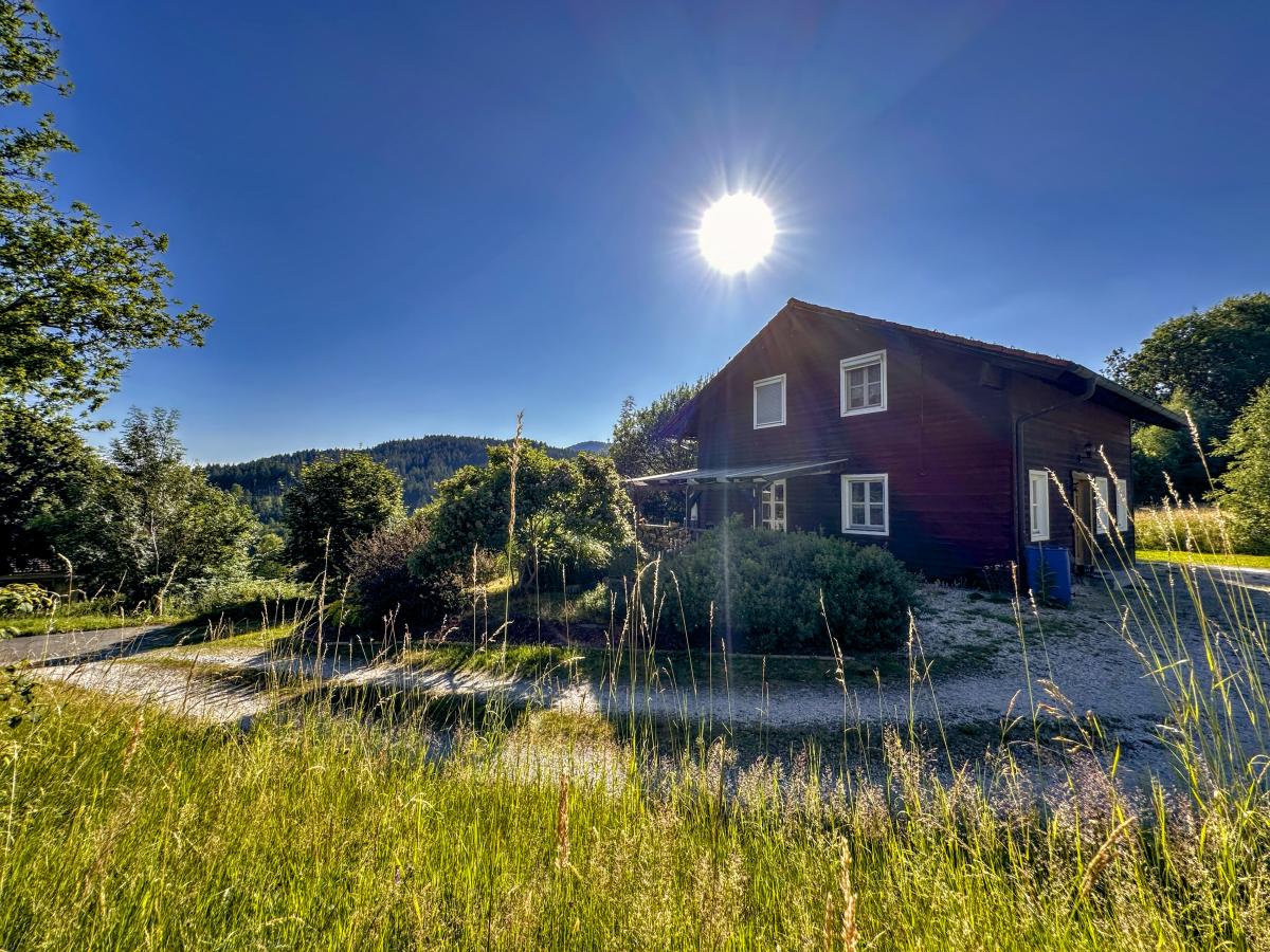 Exterior Summer