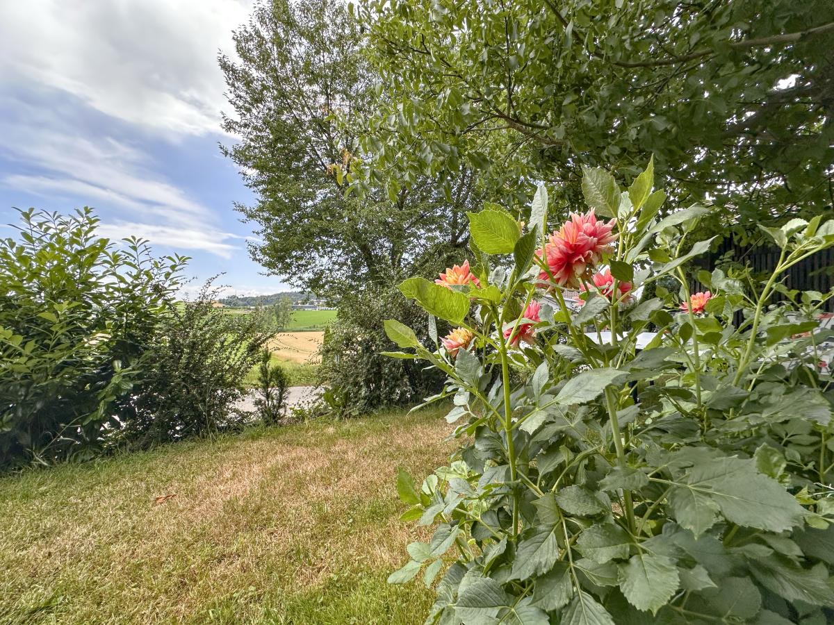 View Summer