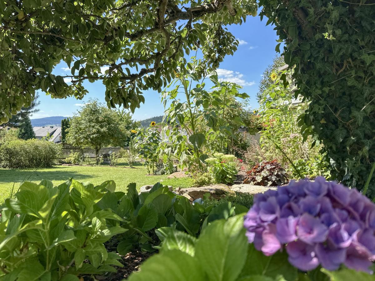 Garden Summer