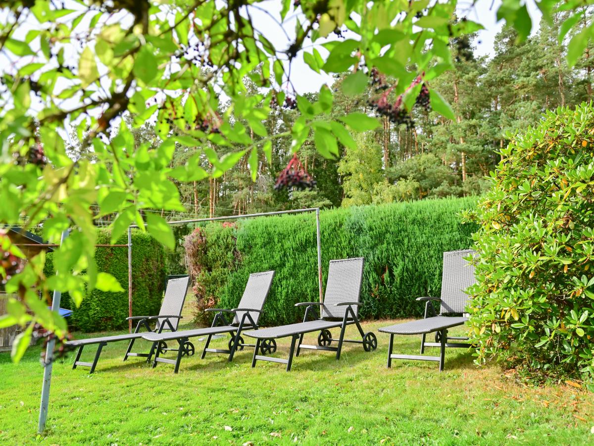 Garden Summer