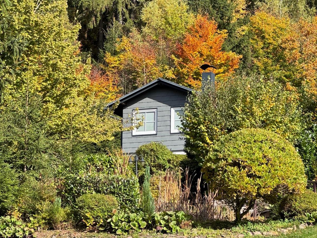 Exterior Summer