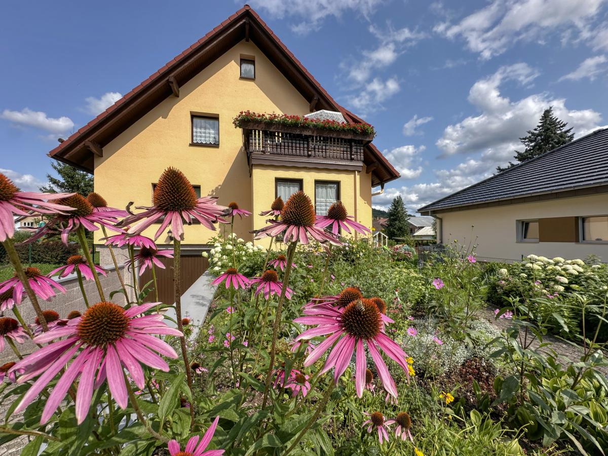 Villa photo 1
