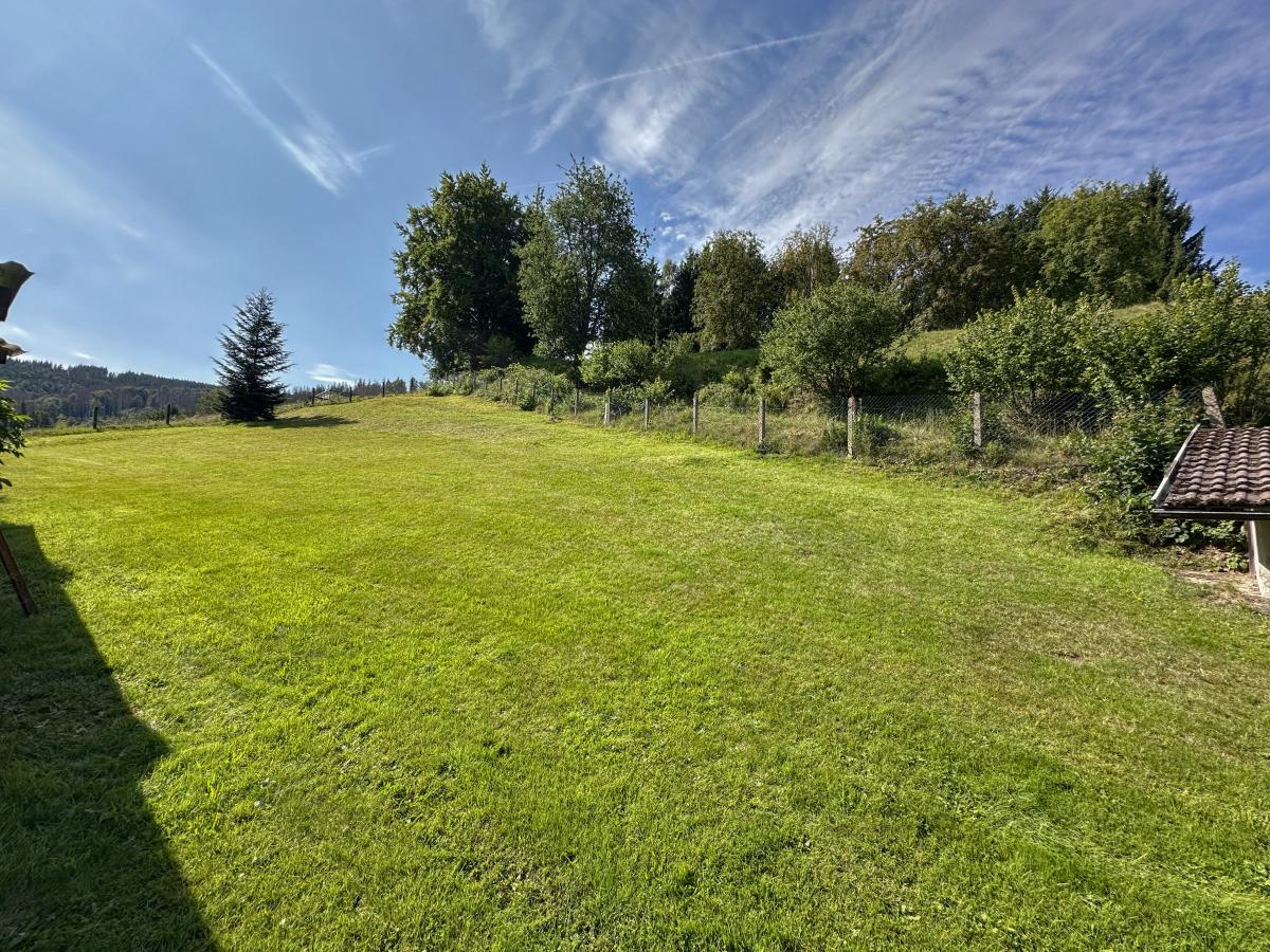 View Summer
