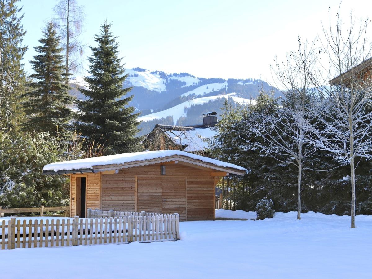 Garden Winter