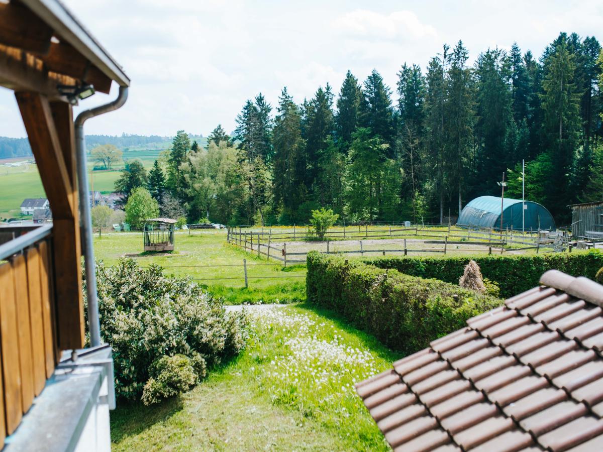 View Summer
