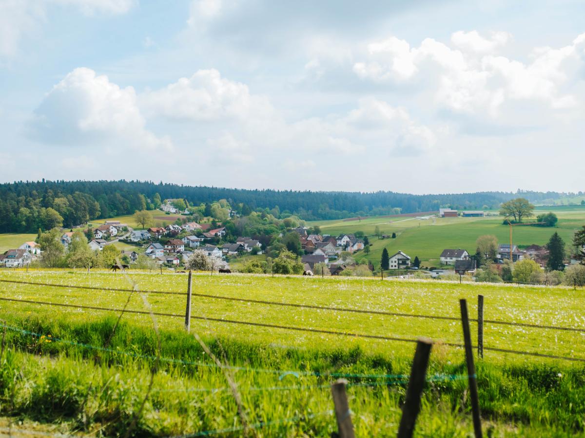 View Summer