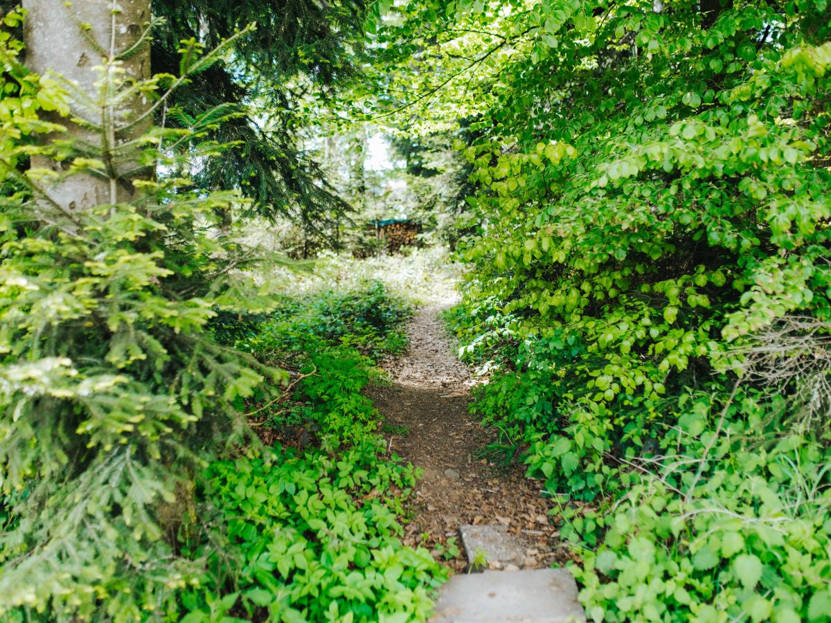 Garden Summer