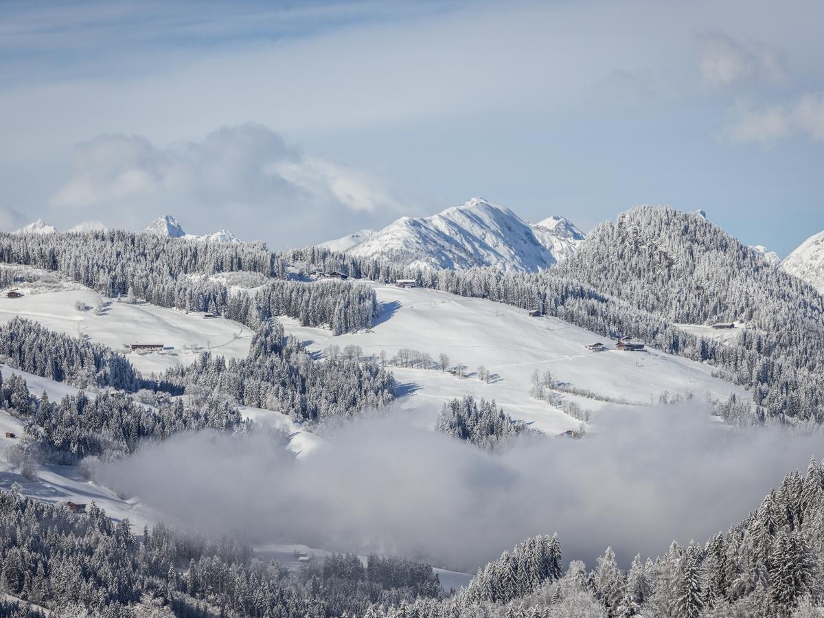 View Winter
