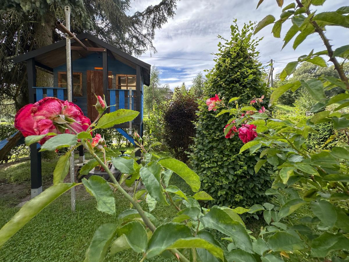 Garden Summer