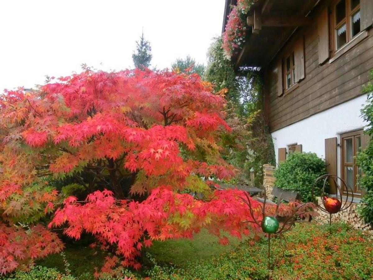 Garden Summer
