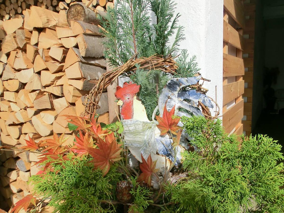 Garden Summer