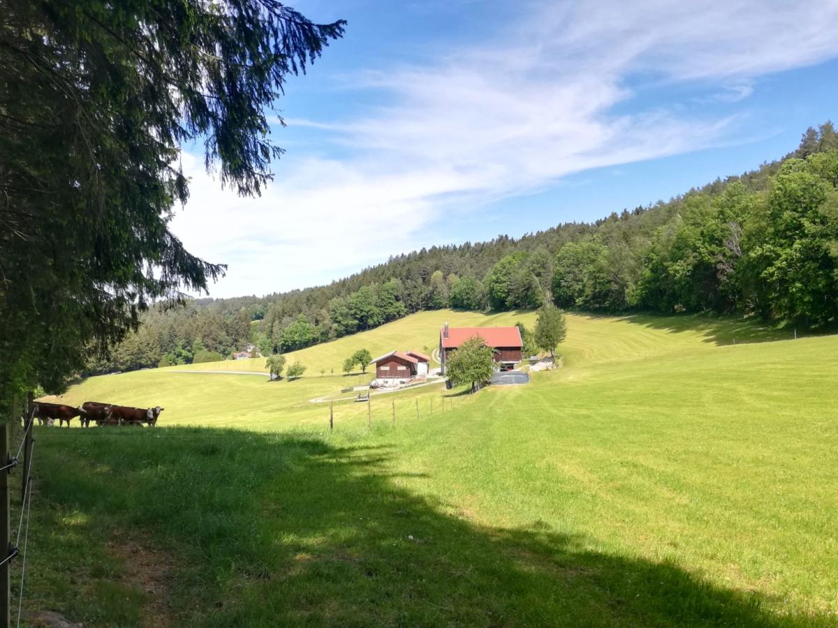 Villa photo 1