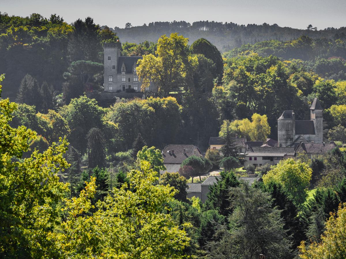 View Summer