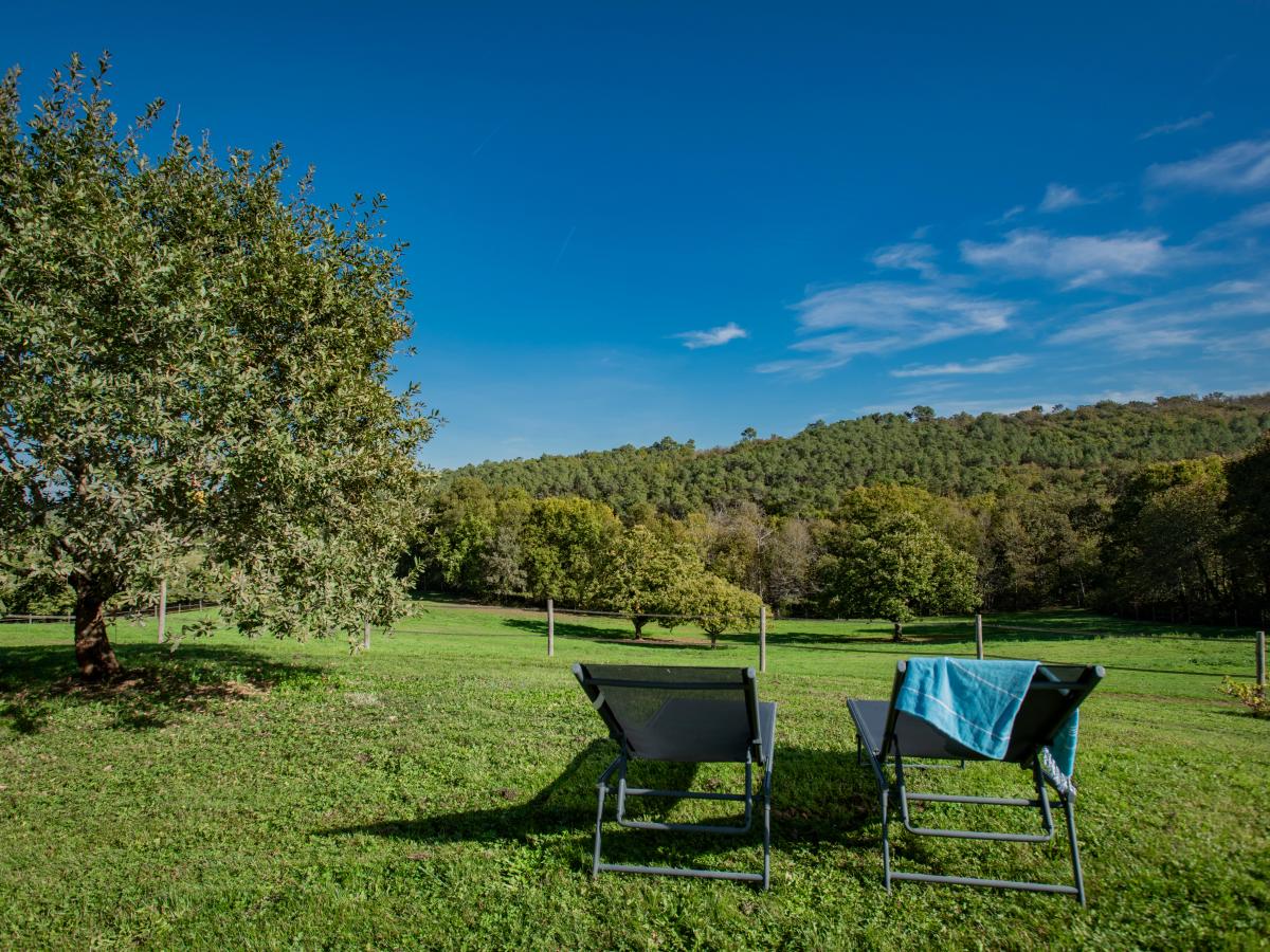 View Summer