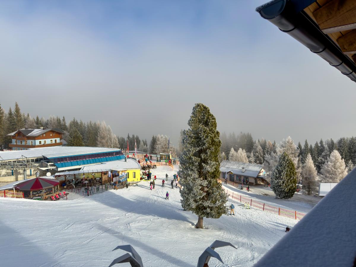 View Winter