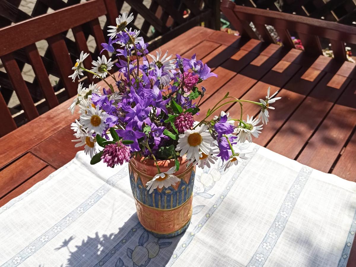 Garden Summer