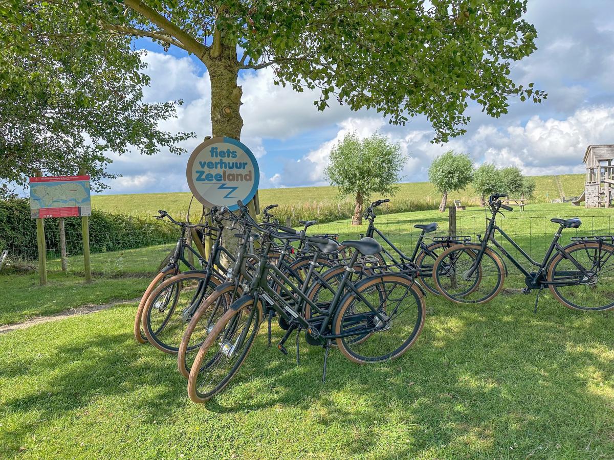 Park Facilities