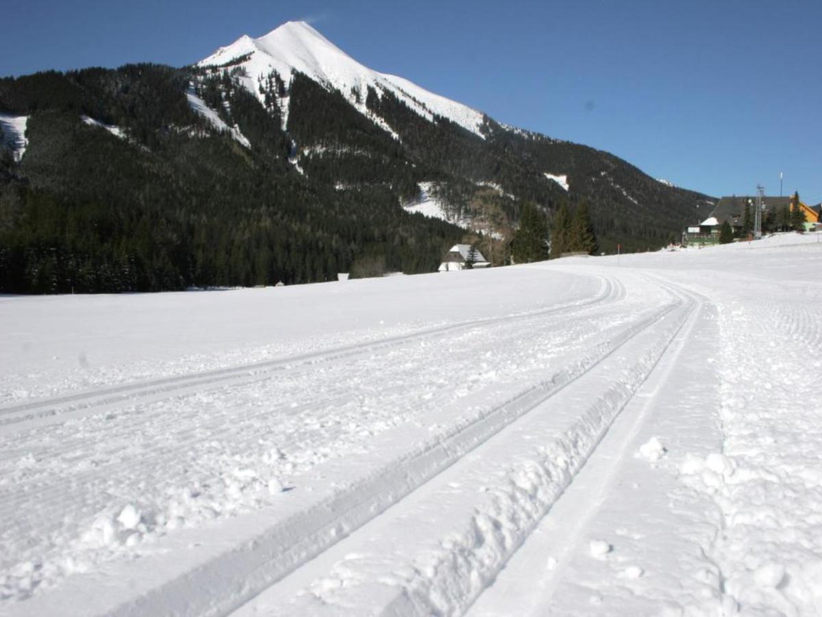 Area Winter5 K M