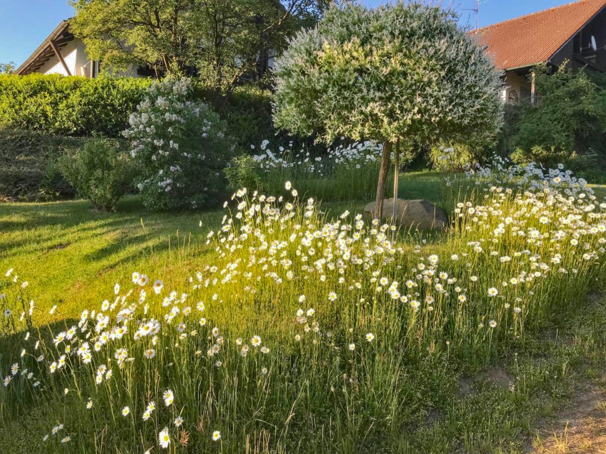 Garden Summer