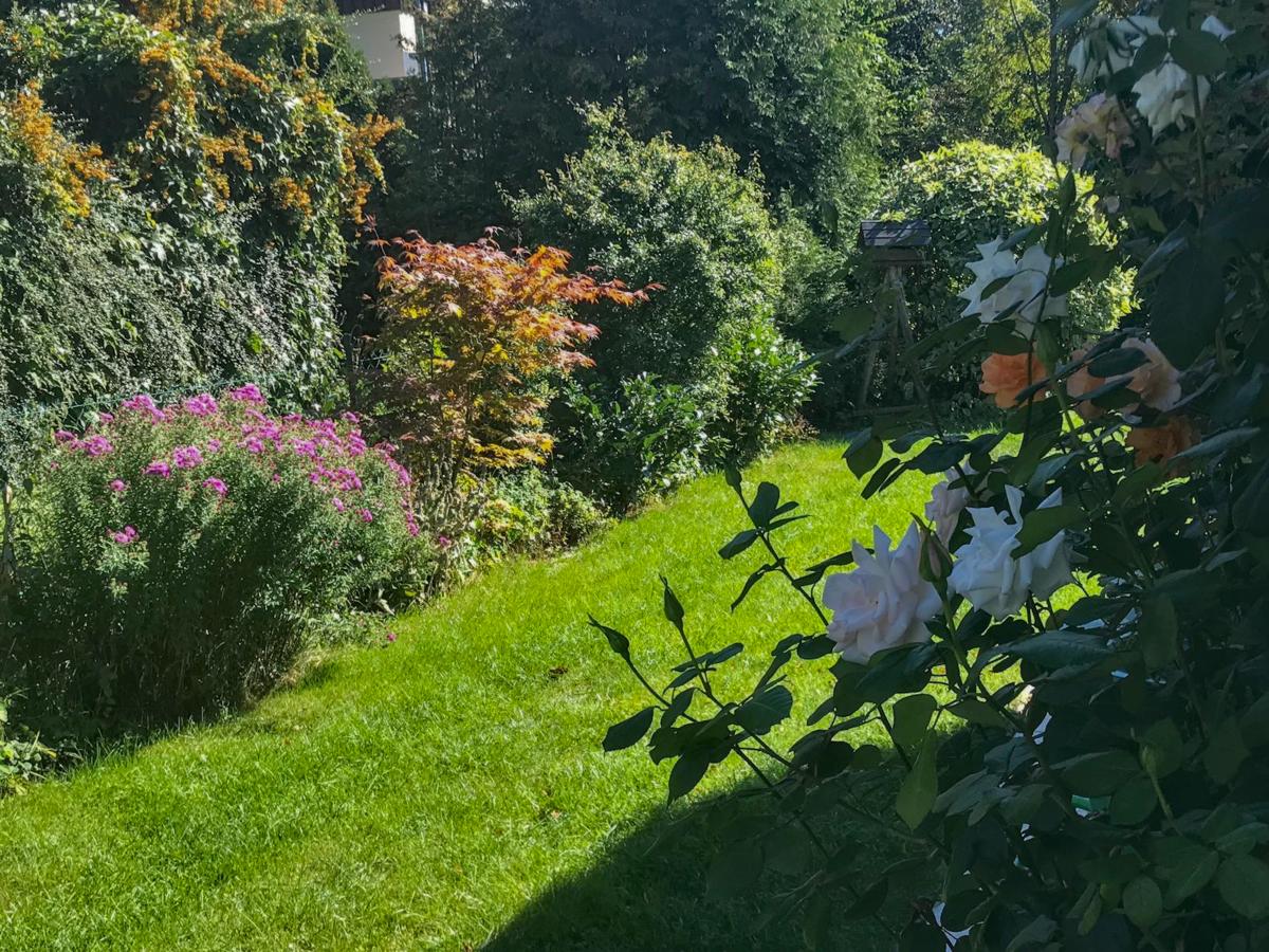 Garden Summer