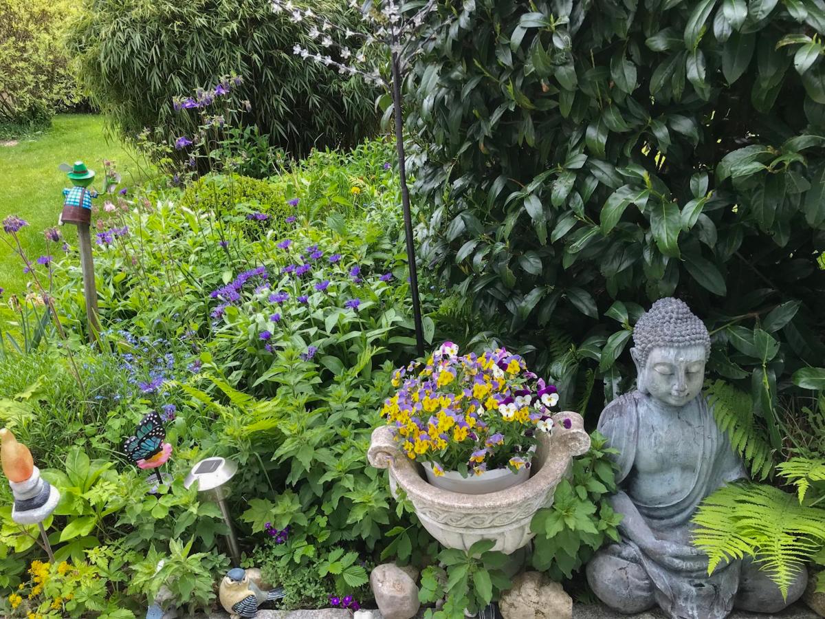 Garden Summer