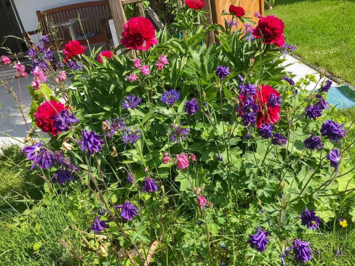 Garden Summer
