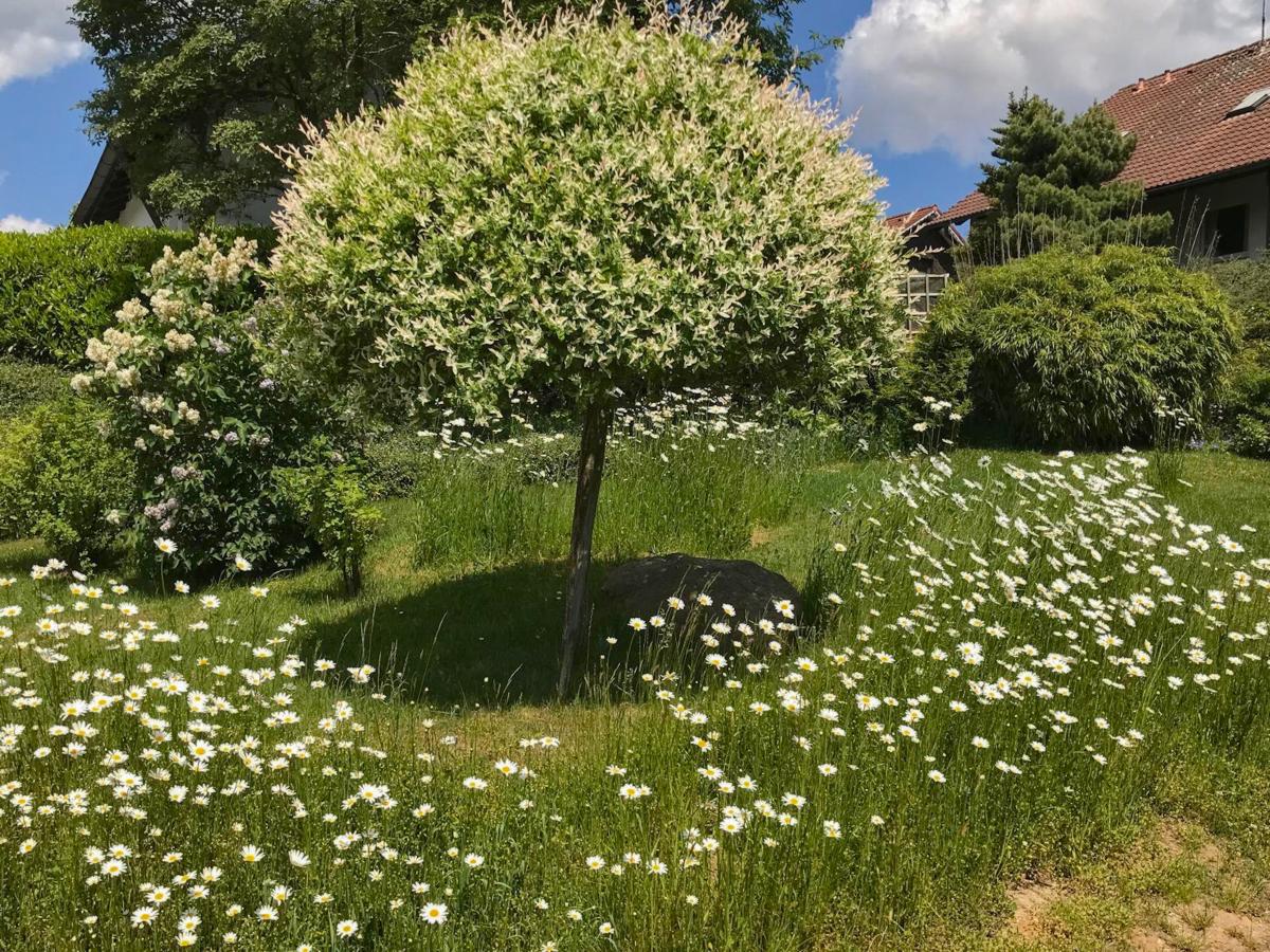 Garden Summer