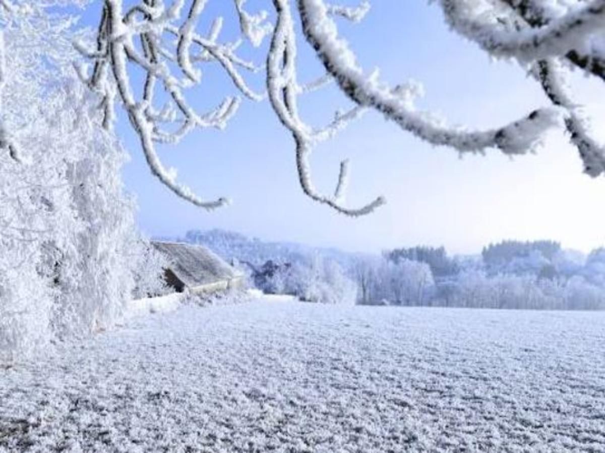 Area Winter20 K M