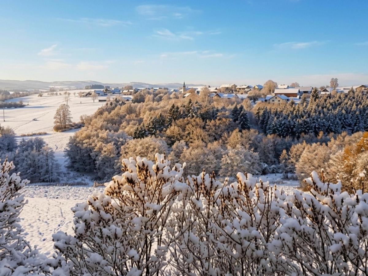 Area Winter20 K M